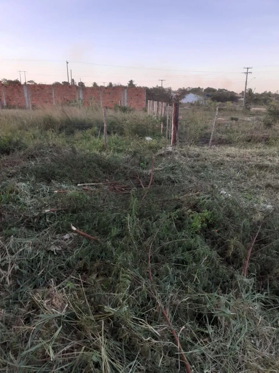 Terreno em Itabaianinha  - Foto 4