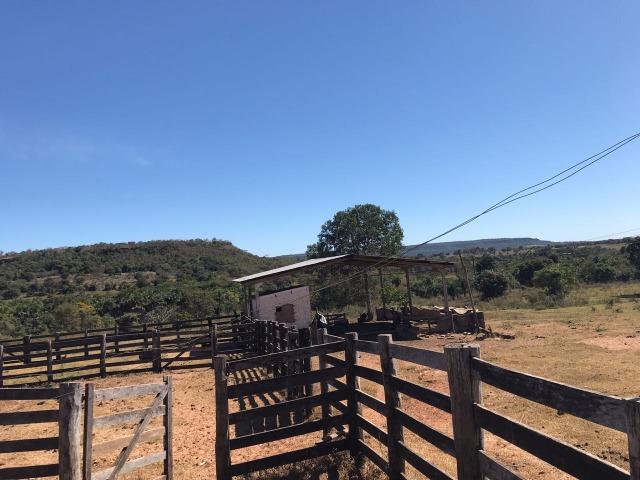 Fazenda Pecuária - 700 Ha - Chapada dos Guimarães - Foto 5