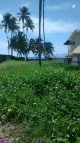 Mega terreno em Porto de Galinhas a beira mar- Área central- Oportunidade!