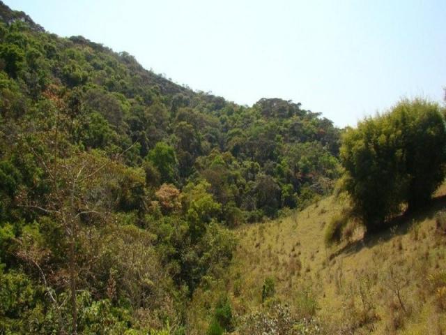 Fazenda, venda ou permuta - Foto 14