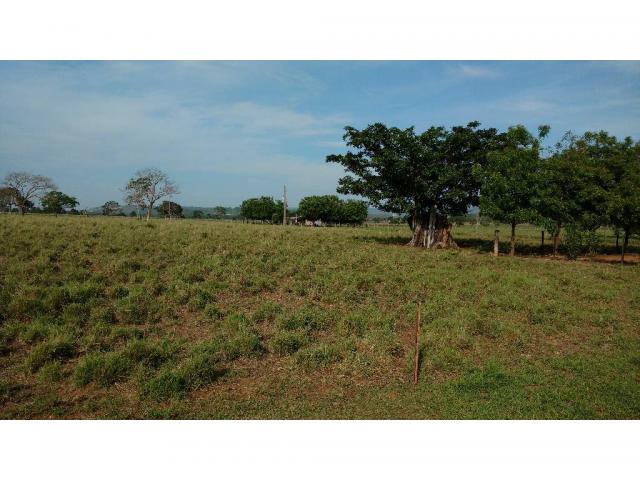 Chácara à venda em Zona rural, Nobres cod:20818 - Foto 4