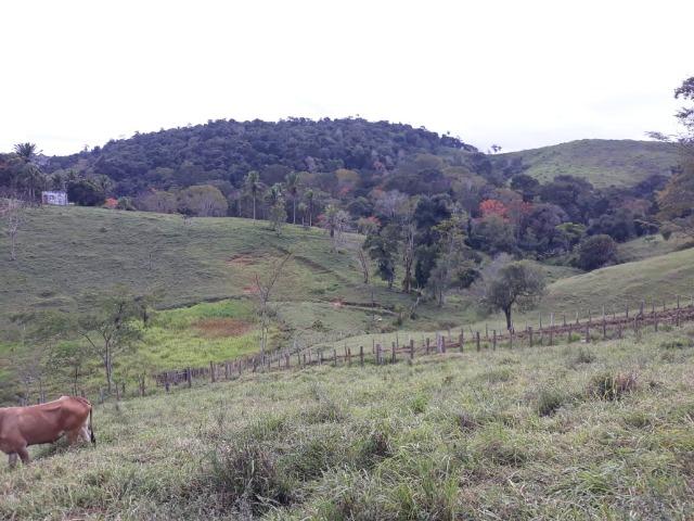 Fazenda em Camacã - Foto 10