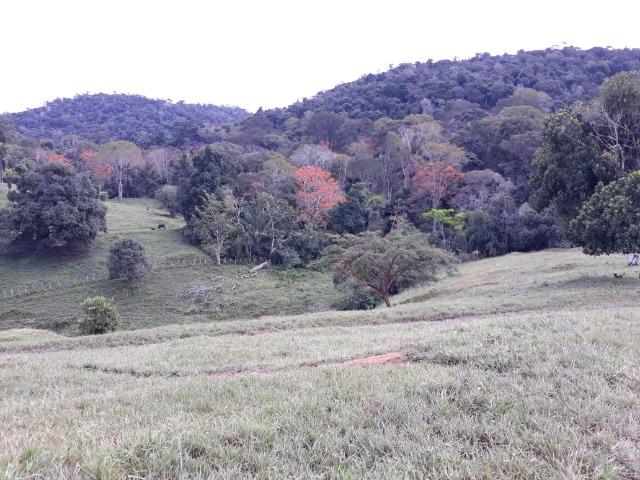Fazenda em Camacã - Foto 6