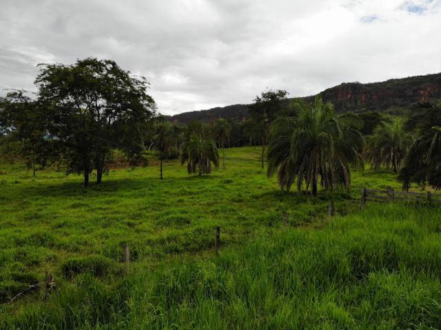 Fazenda em lugar paradisíaco, - Foto 8