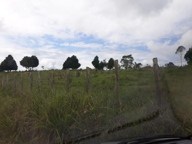 Fazenda em Camacã - Foto 8