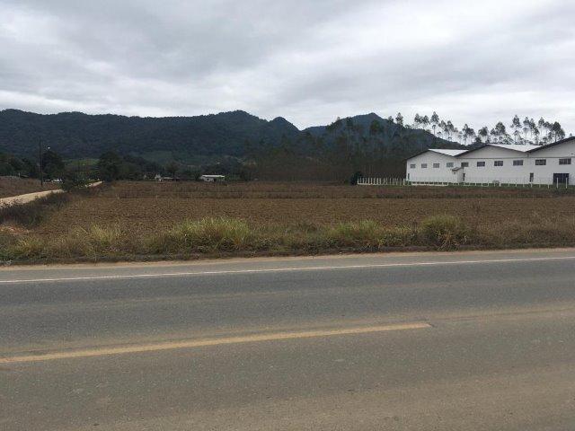 Terreno Industrial - Foto 2