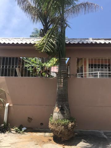 Palmeira Real