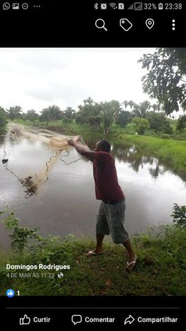 Vendo excelente chácara as margens da ma 216** 30 hectares em Penalva ma - Foto 12