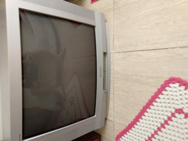 Vendo tv 29