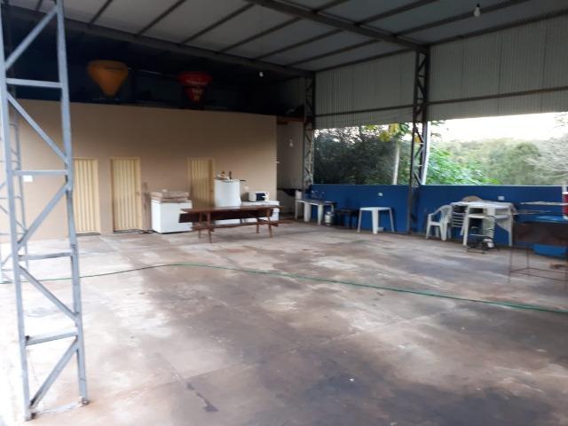 Fazenda c/ 508he c/ 330he Formados, 28km de Alto Araguaia-MT - Foto 6