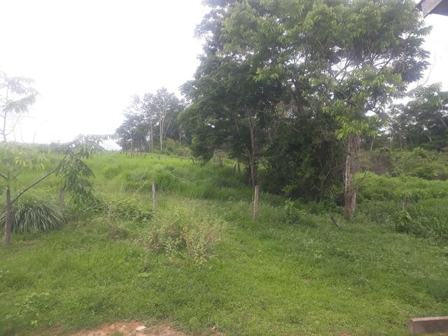 Colônia - Foto 4