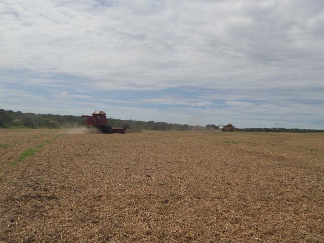 Fazenda 3.771 Hectares Plantando Lavoura - Canarana - MT - Foto 5