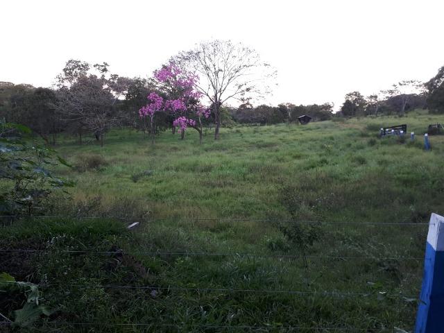 Fazenda c/ 508he c/ 330he Formados, 28km de Alto Araguaia-MT - Foto 3