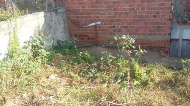 Terreno no Nova Caruaru - Foto 2