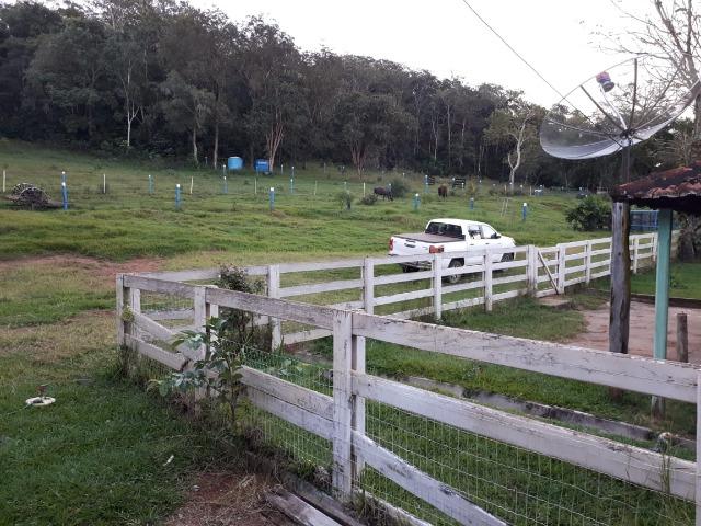 Fazenda c/ 508he c/ 330he Formados, 28km de Alto Araguaia-MT - Foto 7