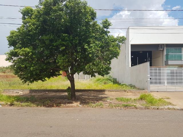 Alugo Terreno na Avenida Américo Belay 539 m²- Jardim Dias I - Foto 2