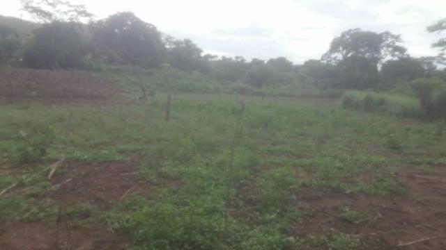 Vendo excelente chácara!!! - Foto 13