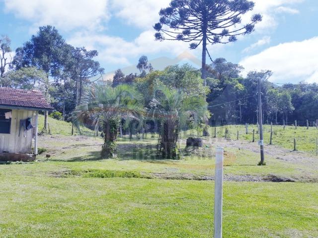 Fazenda no Taquari, Bocaiuva do Sul/PR - Foto 7