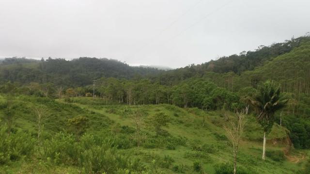 Fazenda Rio Pequeno, Campina Grande do Sul/PR - Foto 14