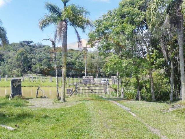 Fazenda no Taquari, Bocaiuva do Sul/PR - Foto 9