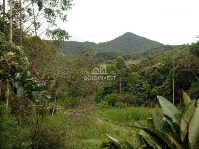 Sitio no Moura - Foto 17