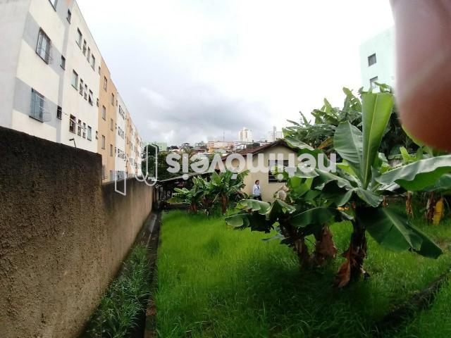 Casa à venda com 3 dormitórios em João pinheiro, Belo horizonte cod:733830 - Foto 5