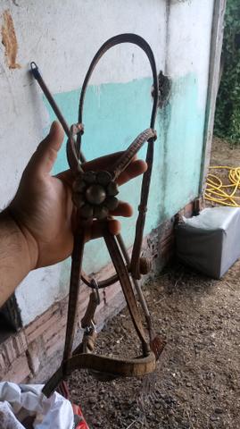 Vemdo buçal Florao ALPACA - Foto 3