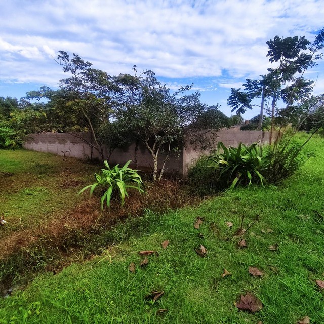 Terreno Ilha Comprida  - são dois terrenos - Foto 2