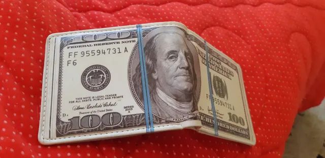 Carteira nota de dólar 