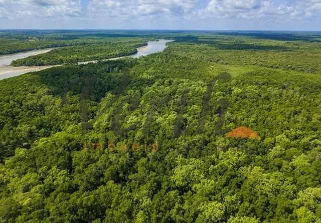 fazenda - Centro - Itamarati - Foto 3