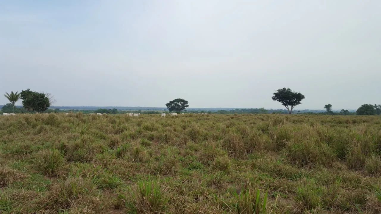 Fazenda 12.00 hect em Juína MT. 4 mil abertos 350 milhões. - Foto 6