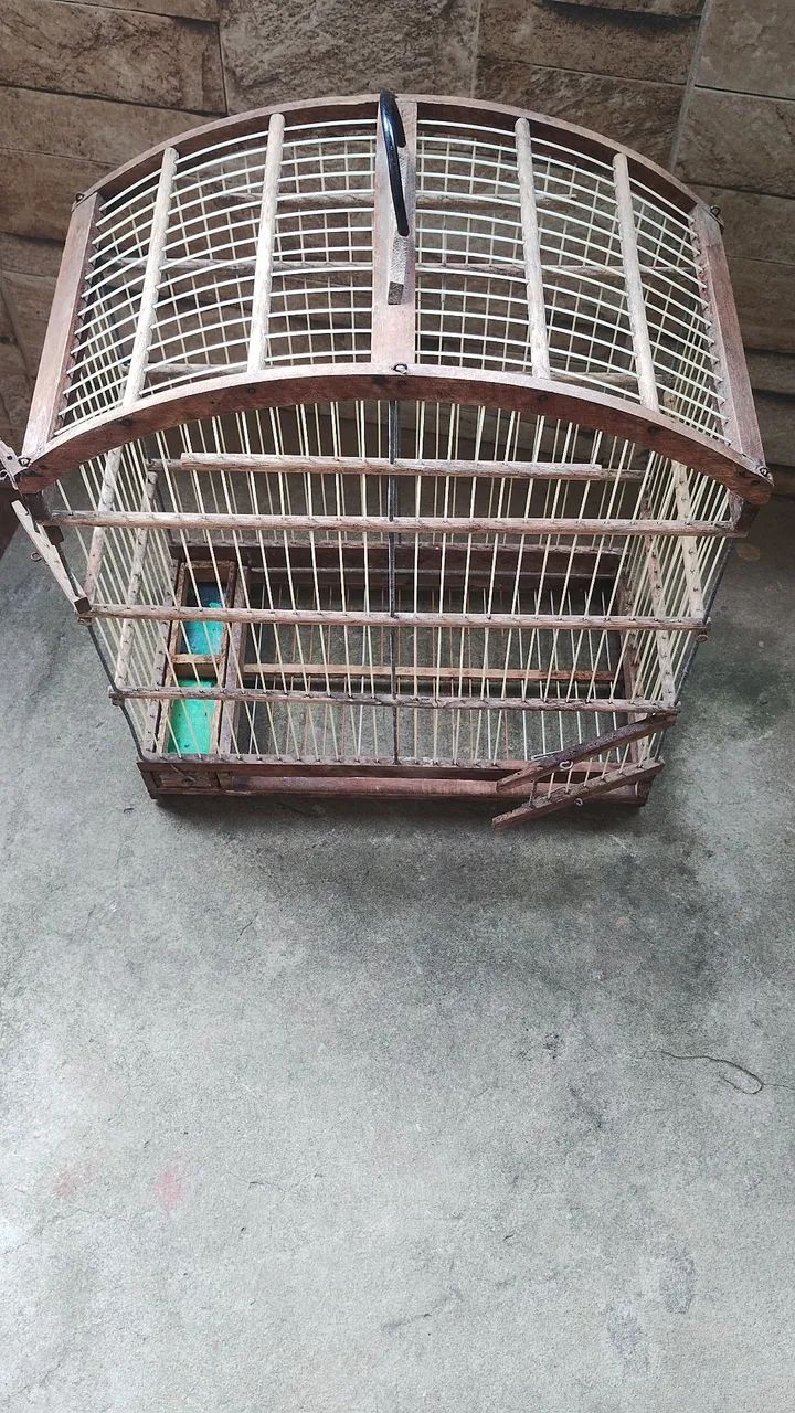 Gaiola de Madeira para Pássaros - Foto 5