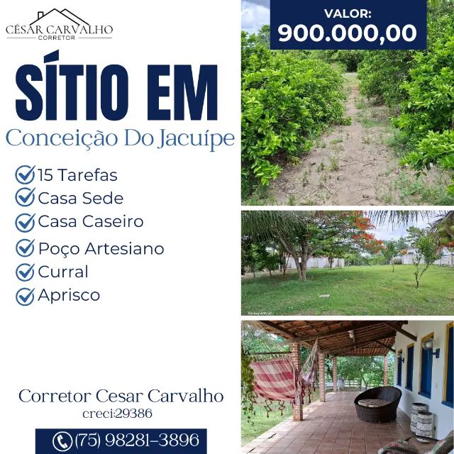 SÍTIO EM CONCEIÇÃO DO JACUÍPE - 15 TAREFAS