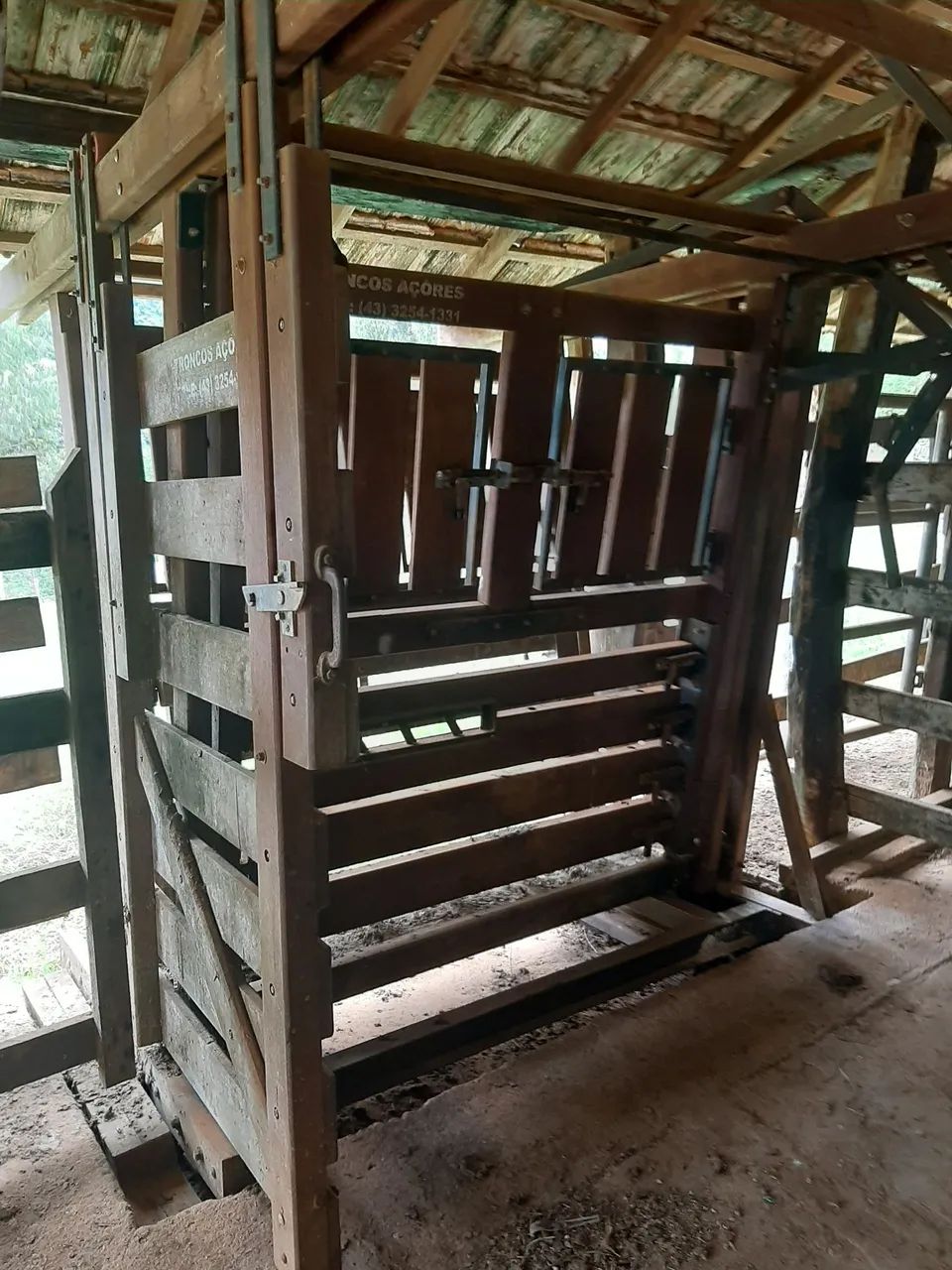 Balança com brete para gado
