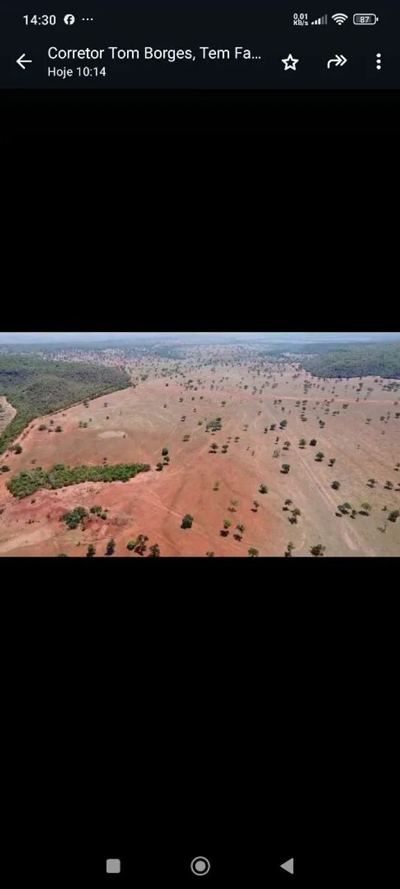 Fazenda arrendamento 3.000 hec em pasto, libera acima de 500hec 1° as no outro mais  - Foto 4