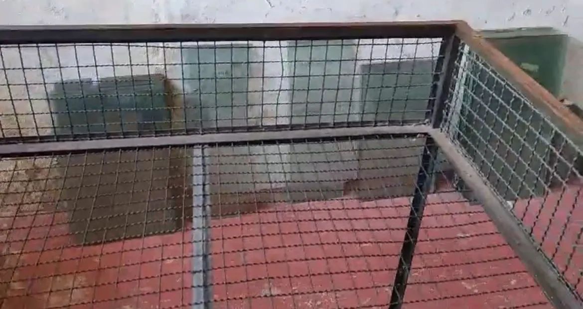 Expositores de ferro ( cesto) - Foto 5