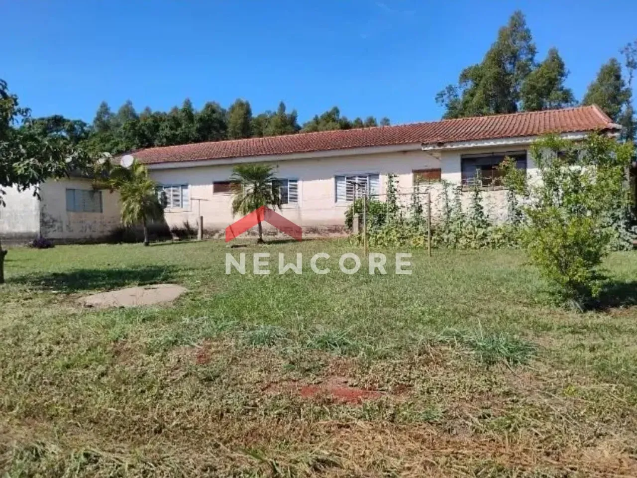 Sítio em Guatapará - Centro - Guatapará/SP