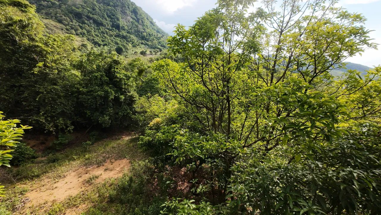 Terreno no Farao de baixo - Cachoeiras de Macacu Rj - Foto 14