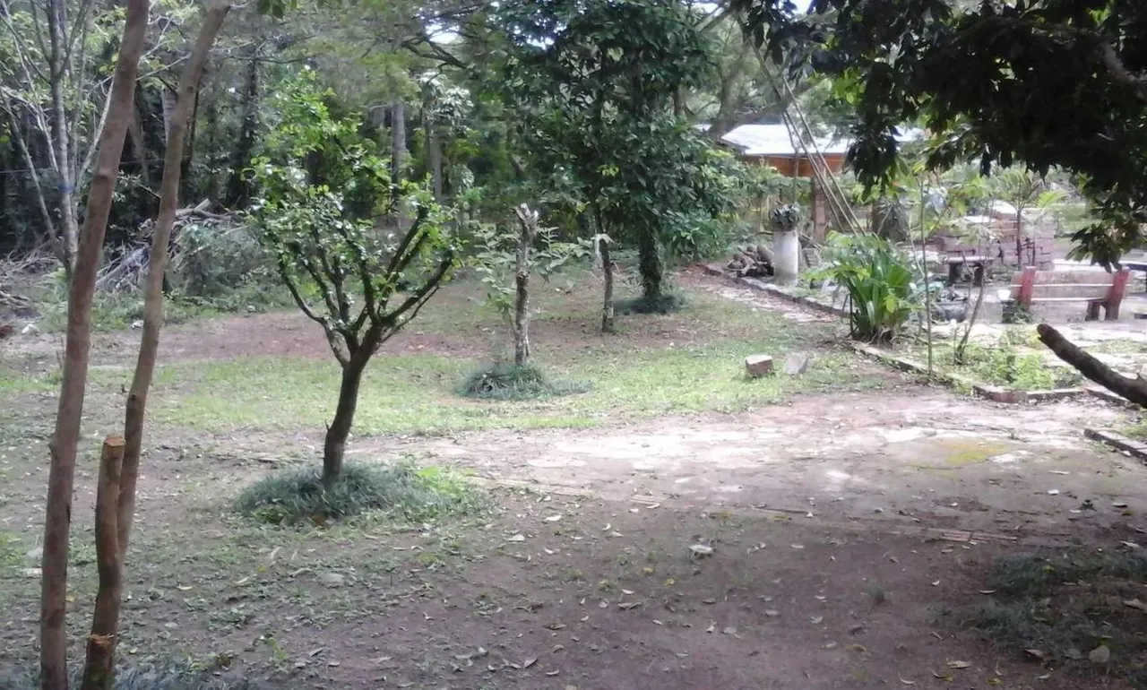 Sítio em Estrada Antônio Borges - Belém Velho - Porto Alegre/RS