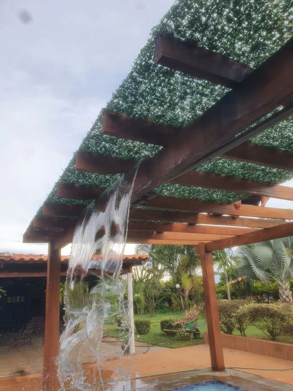 Cobertura verde para pergolados  - Foto 3