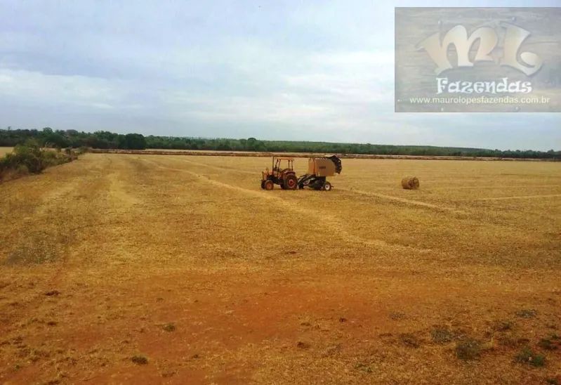 ML FAZENDAS - FAZ 148 Região de Dueré - TOcom 1.697,62 hect Ideal para produção de semente