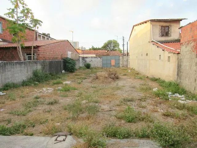 Próximo Av. Raul Barbosa com área 11 x 37. - Foto 3