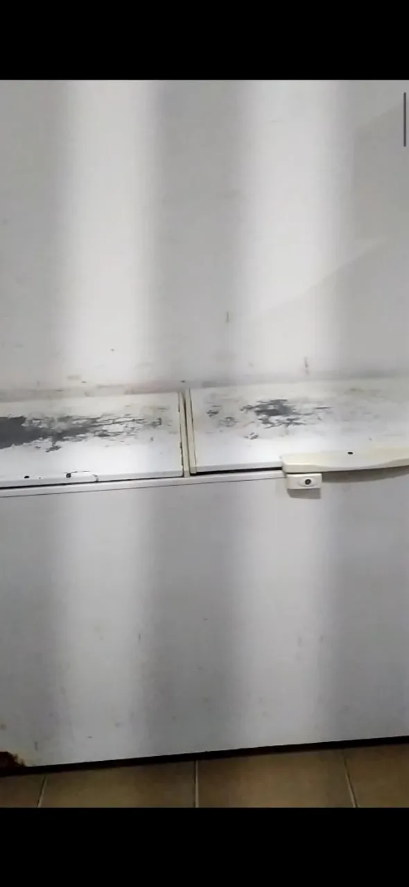 Freezer horizontal
