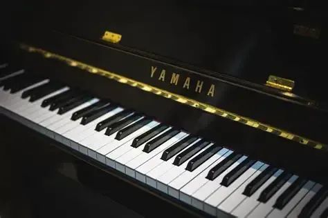 Aula particular de piano - Foto 2