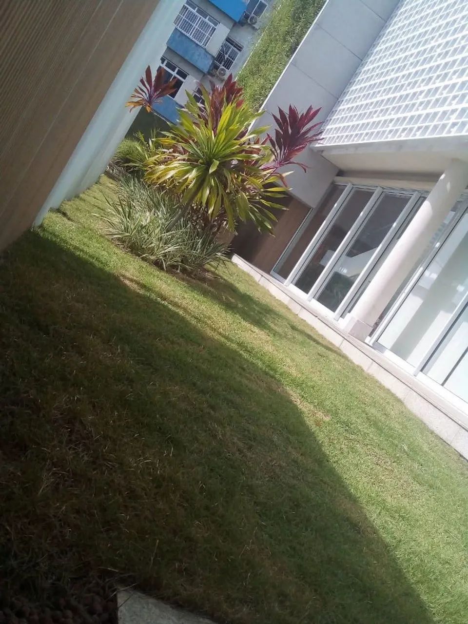 Manutenção verde  - Foto 3