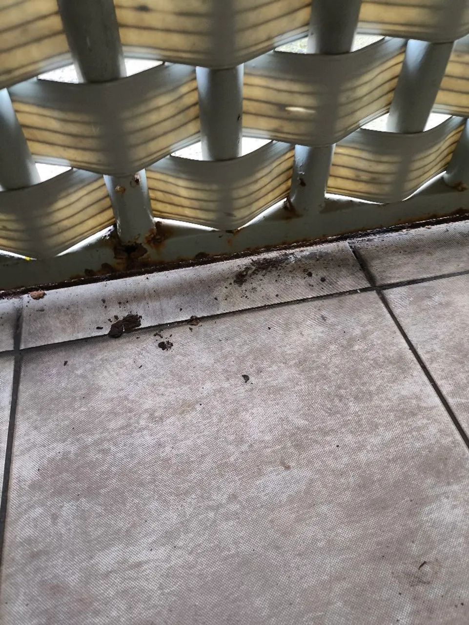 Casa - Foto 3