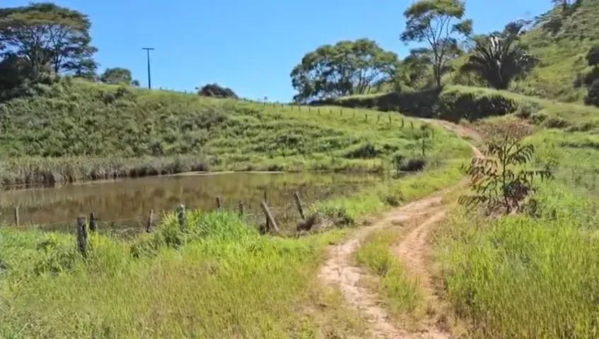 Fazenda Babilonia Nova Canaã - Bahia  - Foto 5