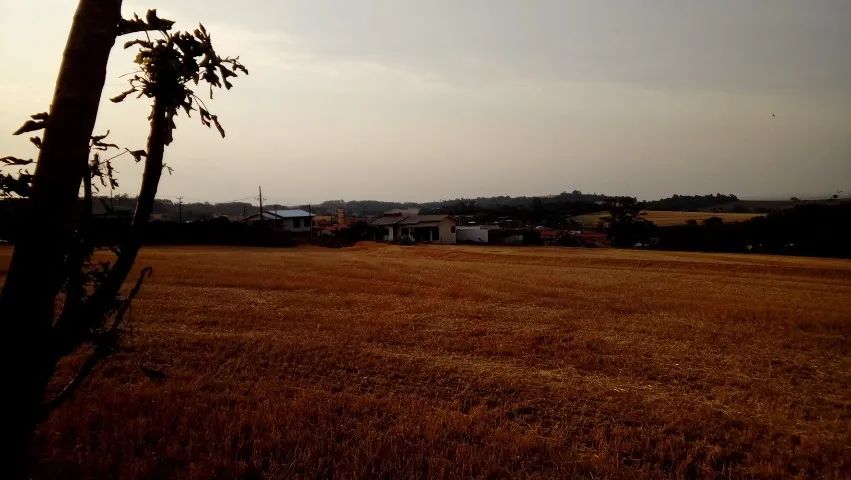 Terreno, Sitio dentro da cidade - 35 mil m² - Foto 3