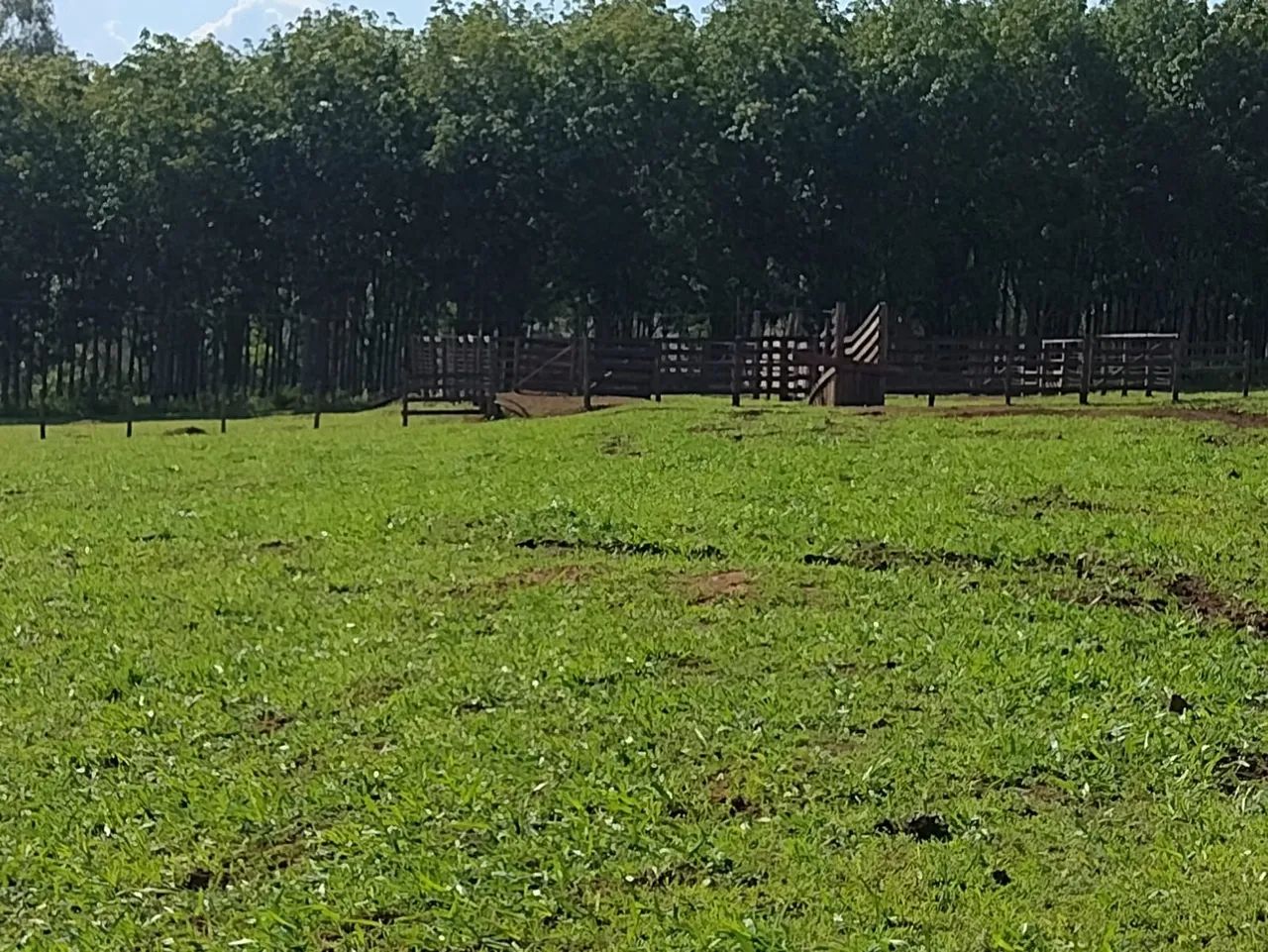 Fazenda Extra 37 alqueires - Silvânia  - Foto 3