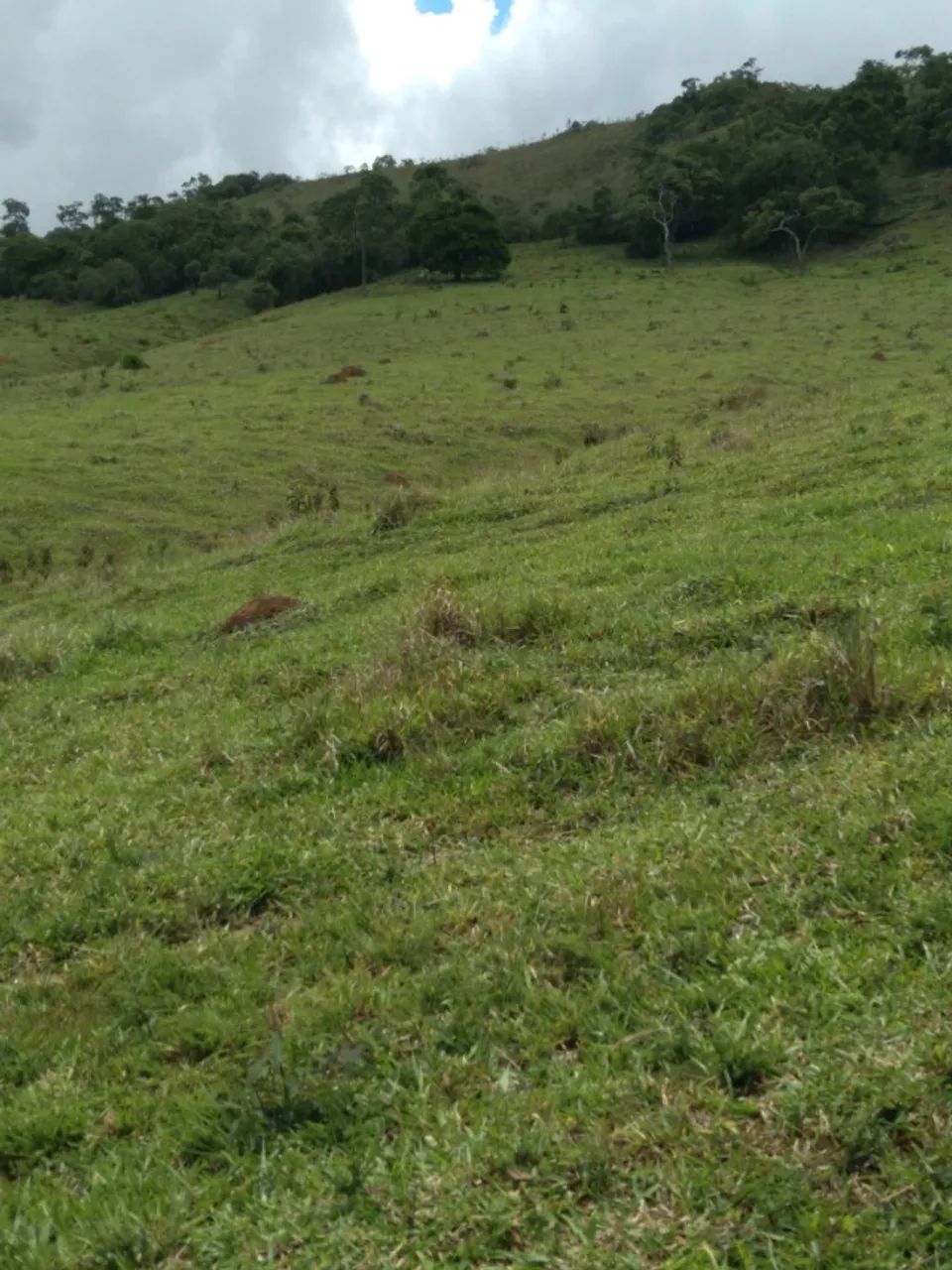 Vende-se terreno em Aiuruoca MG - Foto 3